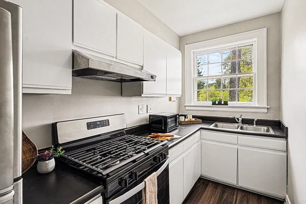 1 bed, 1.0 bath, 602 sqft, $1,250 — Photo 3