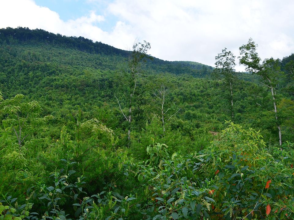 1st image of 434 Acres Pressmens Home Rd