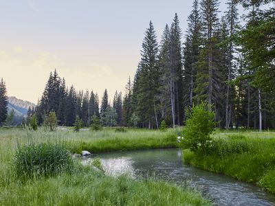 15320 S Wagon Rd, Jackson, WY, 83001
