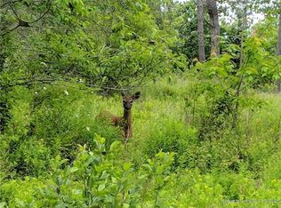 70 Brier Brook Rd, Orland, ME 04472