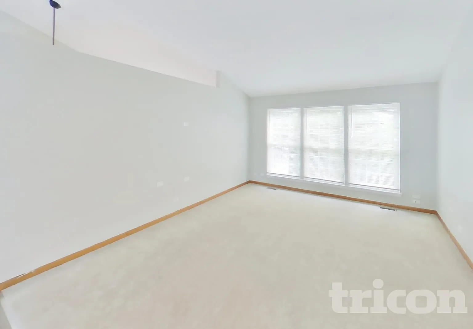 1652 Warrington Lane Crystal Lake IL — Photo 2