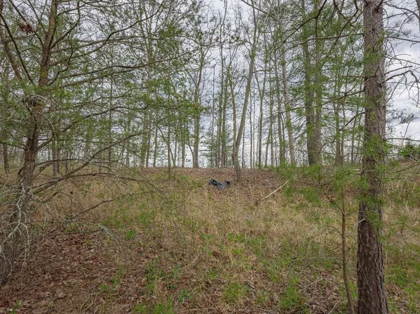 LOT 91 Old Toccoa Loop, Mineral Bluff, GA 30559