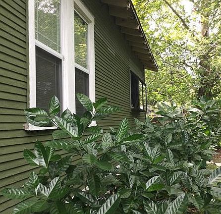 4th image of 1309 E 18th Ave