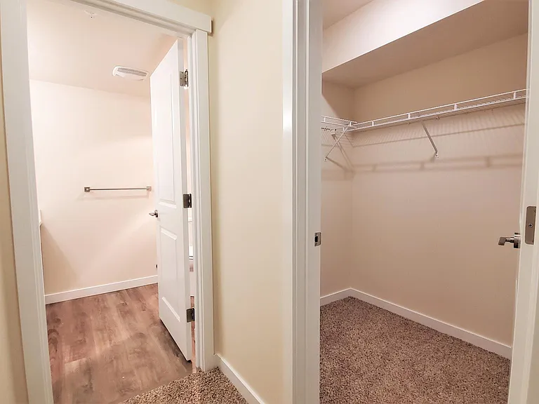 Large Walk-In Closet
