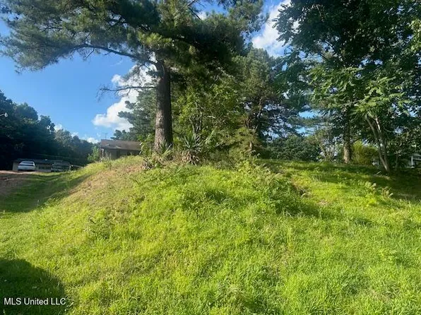196 Pleasant Hill Rd, Nesbit, MS 38651