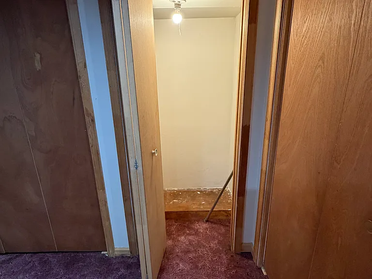 Small closet in basement "bonus room."