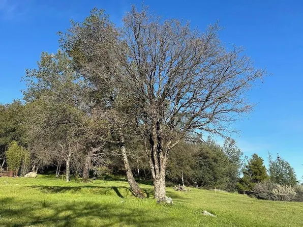 1470 American River Trl, Cool, CA 95614