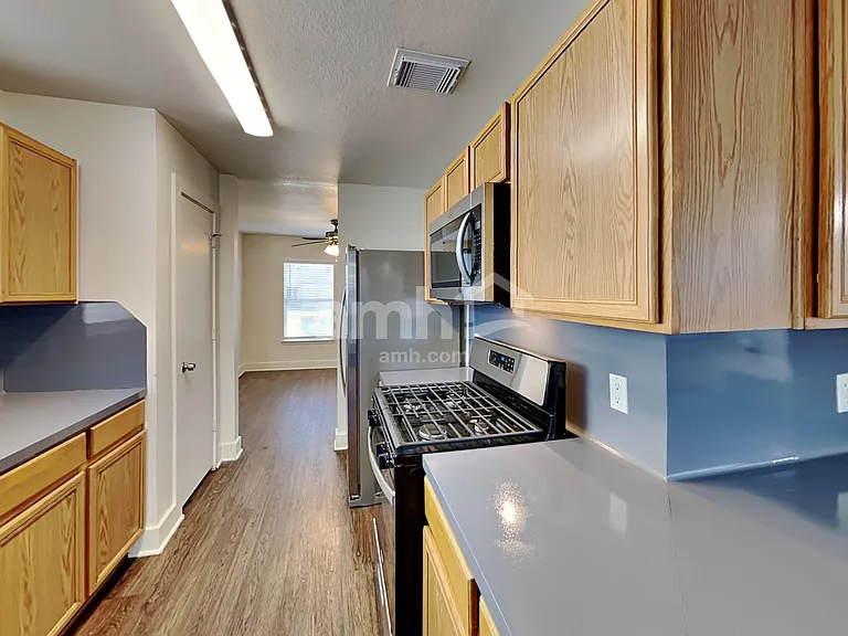 817 Lightningbug Ln — Photo 3