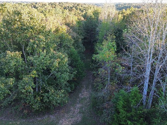 2nd image of 565 Lucas Ridge Ln
