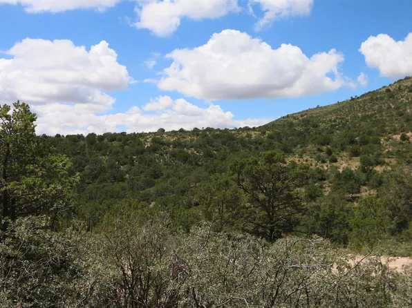 0 Burns Dr, Timberon, NM 88350