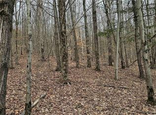 Thayer Rd, Erin, NY 14838