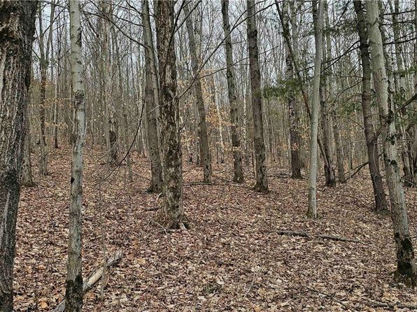 Thayer Rd, Erin, NY 14838