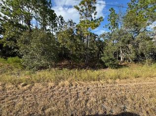 0 Telescope Ave LOT 12, Brooksville, FL 34614