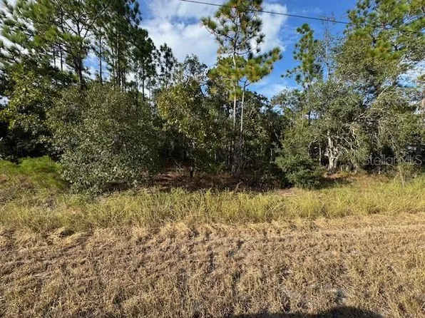 0 Telescope Ave Lot 12, Brooksville, FL 34614