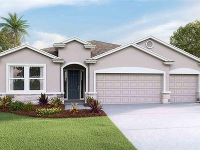 6856 Daintree Ct, Land O Lakes, FL, 34638