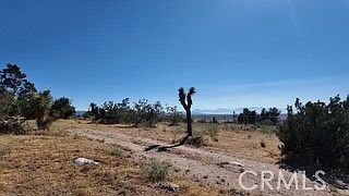 5th image of 7676 Juniper Rd