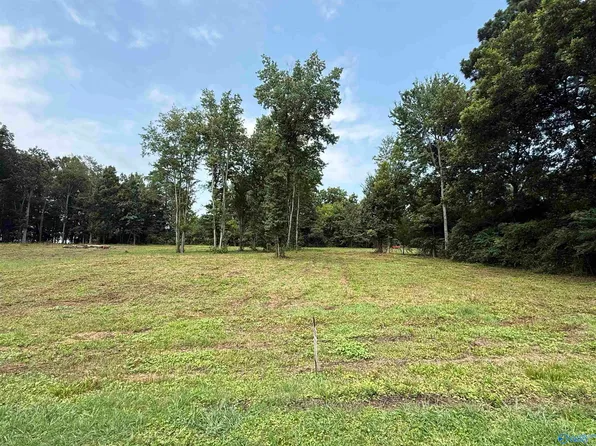 Walker Dr SW, Arab, AL 35016