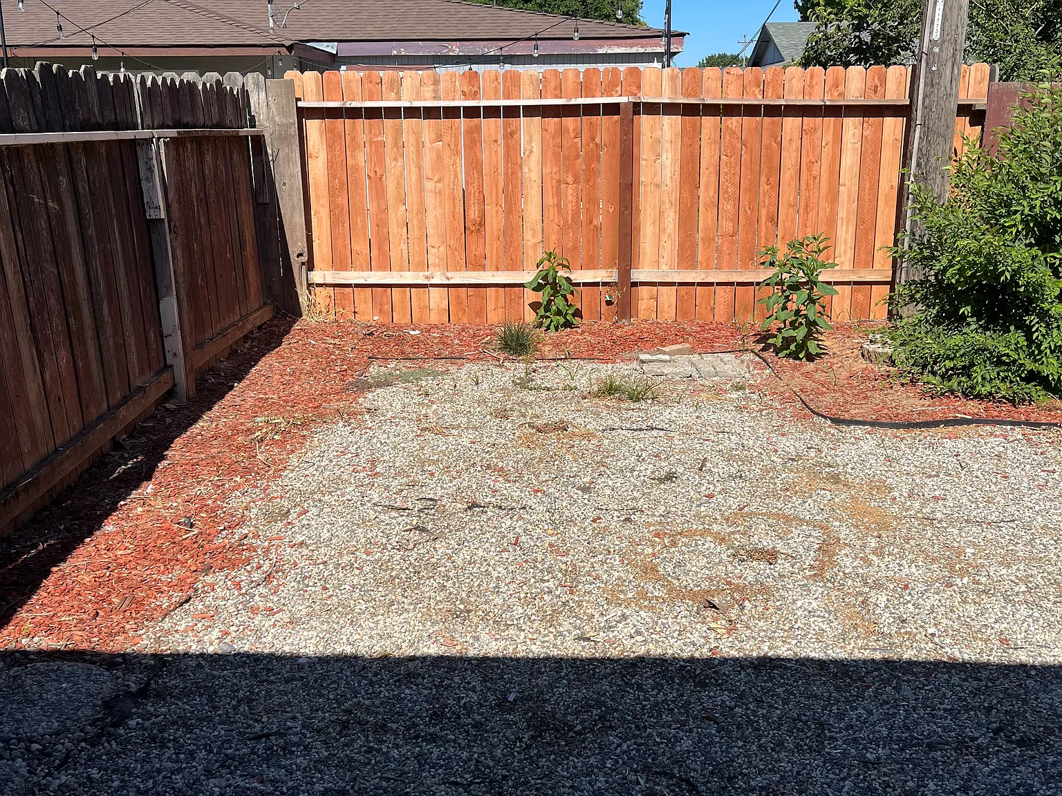 2 bed, $1,695 — Photo 3