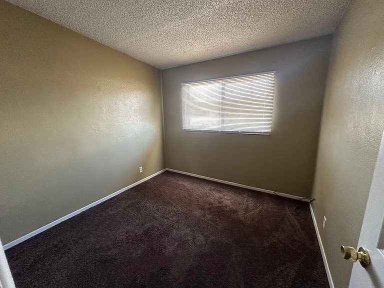 316 Palm Dr — Photo 7