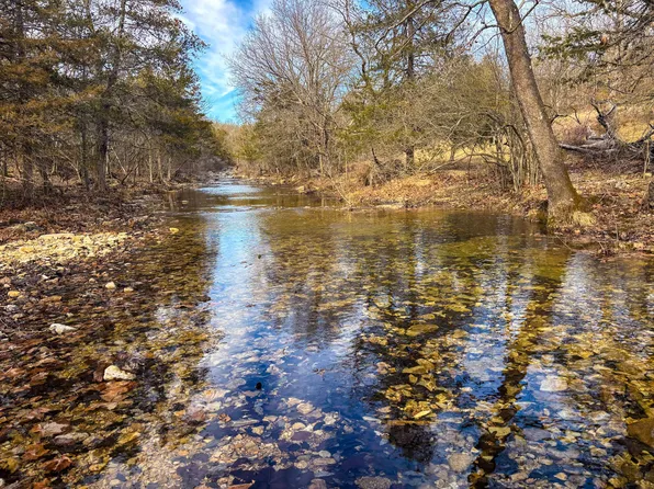 Tbd Palmer Road, Theodosia, MO 65761