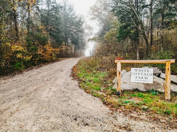 2100 Hill Station Rd, Columbia, TN 38401