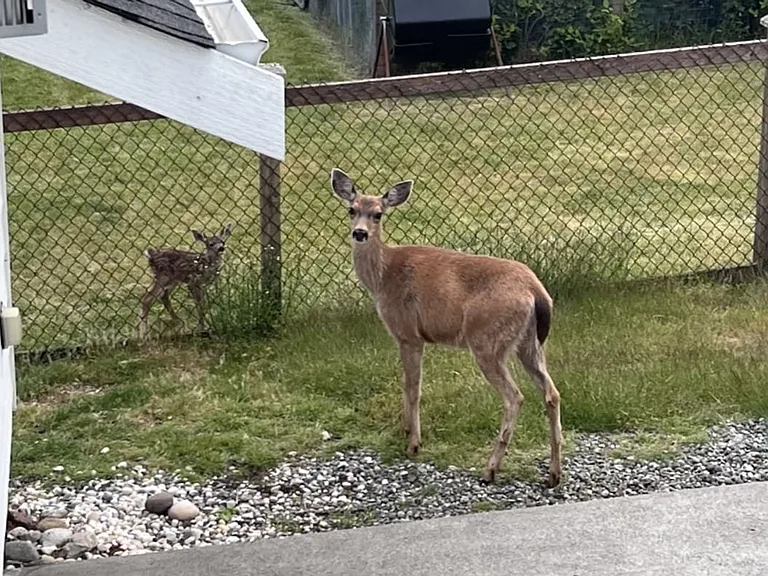 Neighborhood