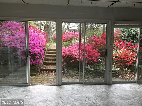 Beautiful Backyard View