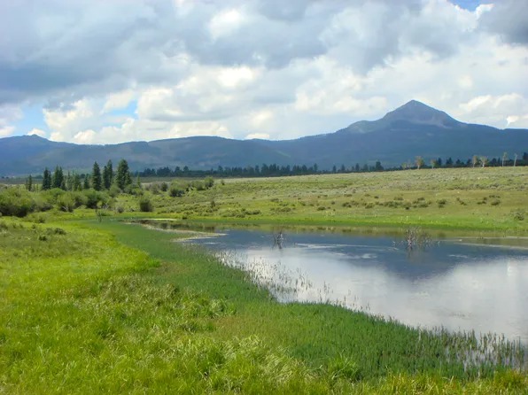 County Road 48l, Placerville, CO 81430