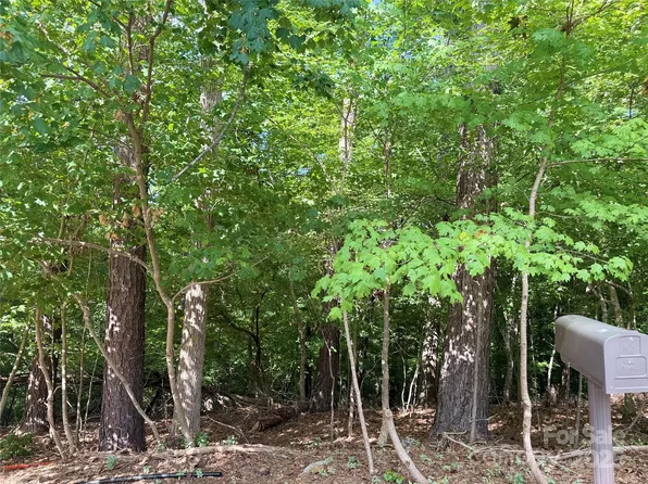 10046 Tepa Pl, Tega Cay, SC 29708