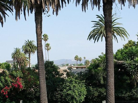 HOLLYWOOD SIGN from master bedroom