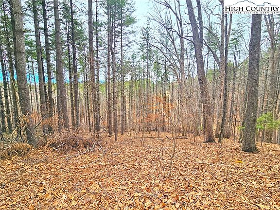 3rd image of TBA Pine Springs Dr