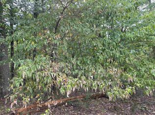 1 Cetrero Ln, Hot Springs Village, AR 71909