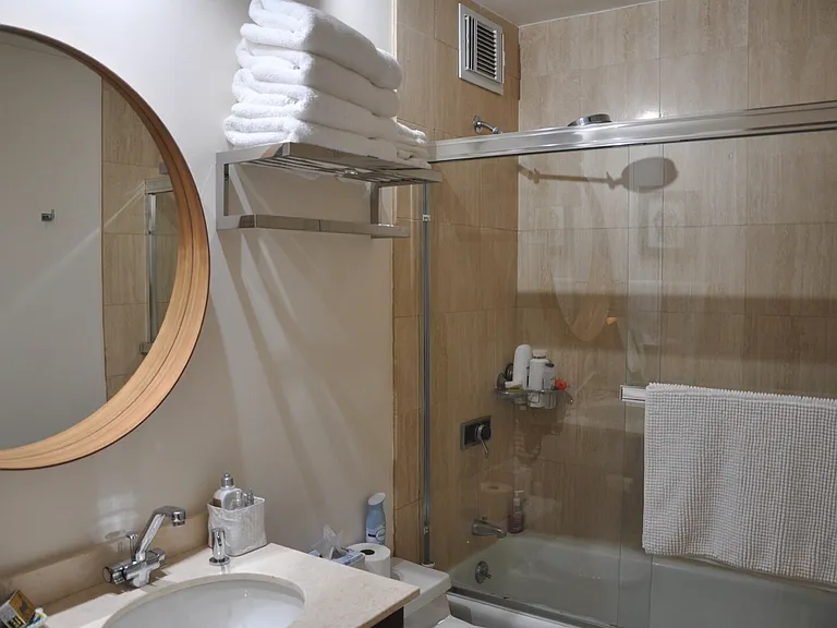 155 N Harbor Dr #4701 — Photo 17