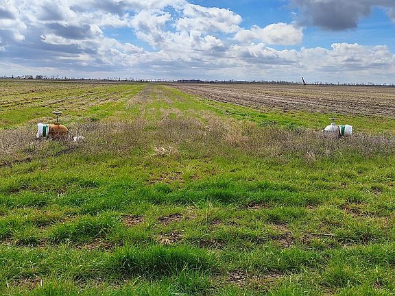 4th image of 160 Acres Nw 1/4 Of Sec 20 #T19n-r12e
