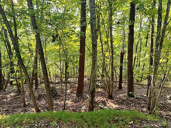 3rd image of 0 Mulberry Cir