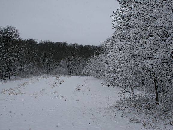 smaller of the two fields