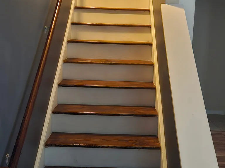 201 Wild Olive Dr — Photo 6