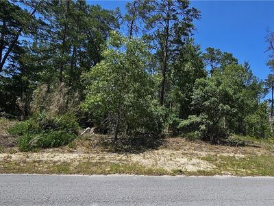 25 Matricaria Ct, Homosassa, FL, 34446