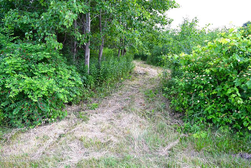 3rd image of 540 Waite Road
