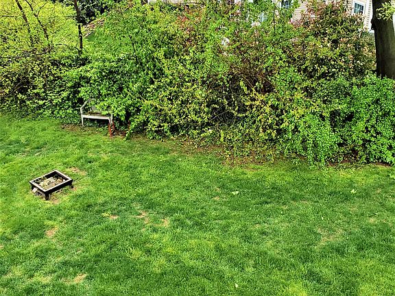 Back Yard Left Side
