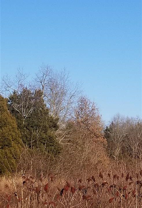 2nd image of Hardesty Raymond Rd