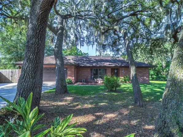 2210 Wildwood Hollow Dr, Valrico, FL 33596
