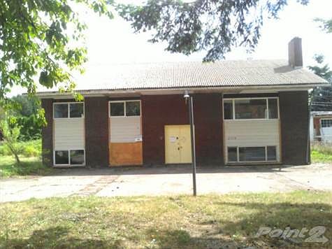 IMAG5905