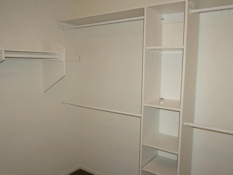 Master walk-in closet