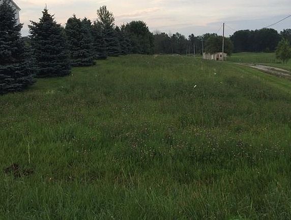 3rd image of Wolf Ave Ne