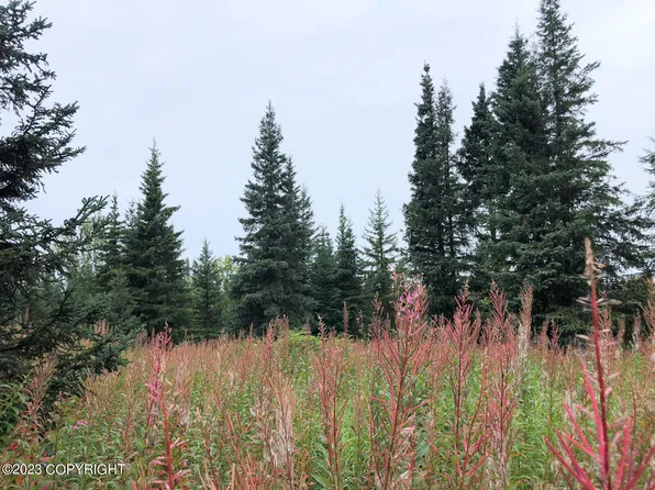 W3 Alaskan Wildwood Rnch, Anchor Pt, AK 99556