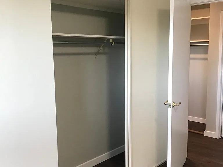 Bedroom 2 closet (big and tall closet)