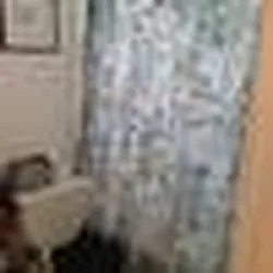 Rented by Elinor Taasa, LREB