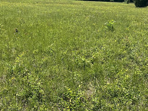 3rd image of 0 County Road 545