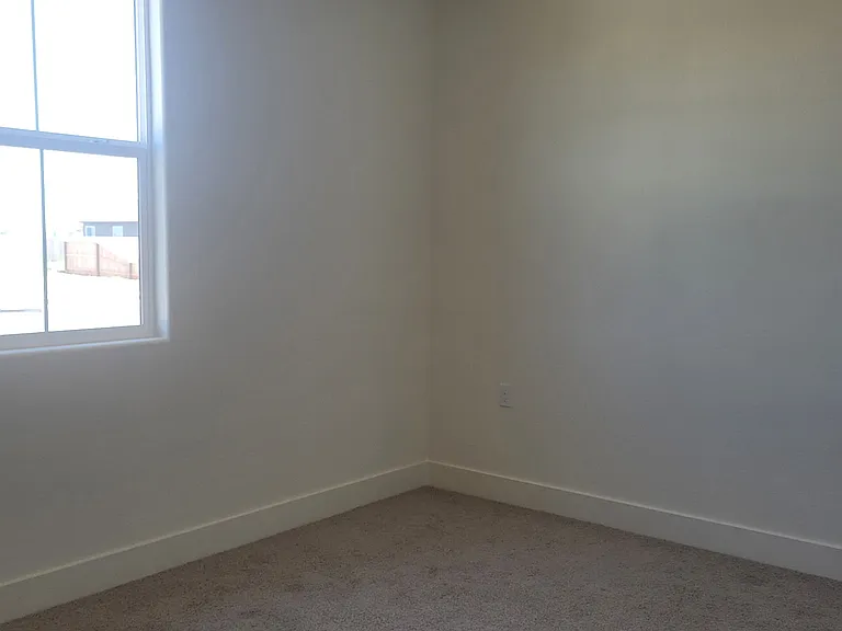 4784 Alexandra Ct — Photo 10